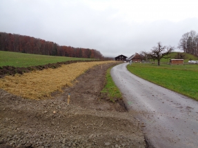 Sanierung Erschliessungsstrasse in Pohlern